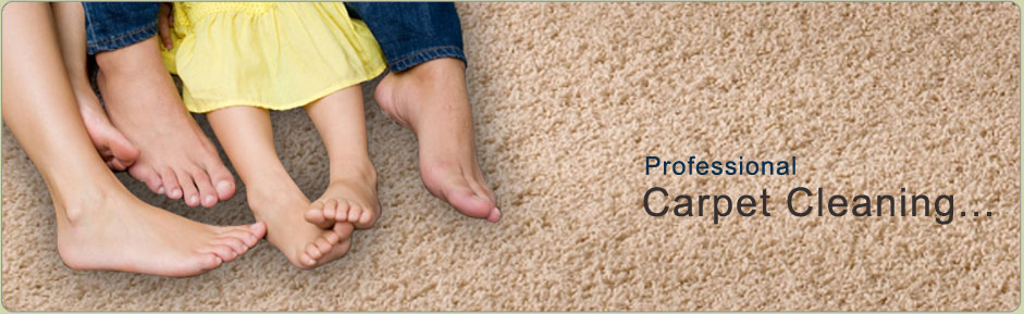Carpet Cleaners Freer  